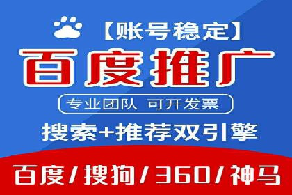 某某sem推广公司在某行业的应用与效果分析